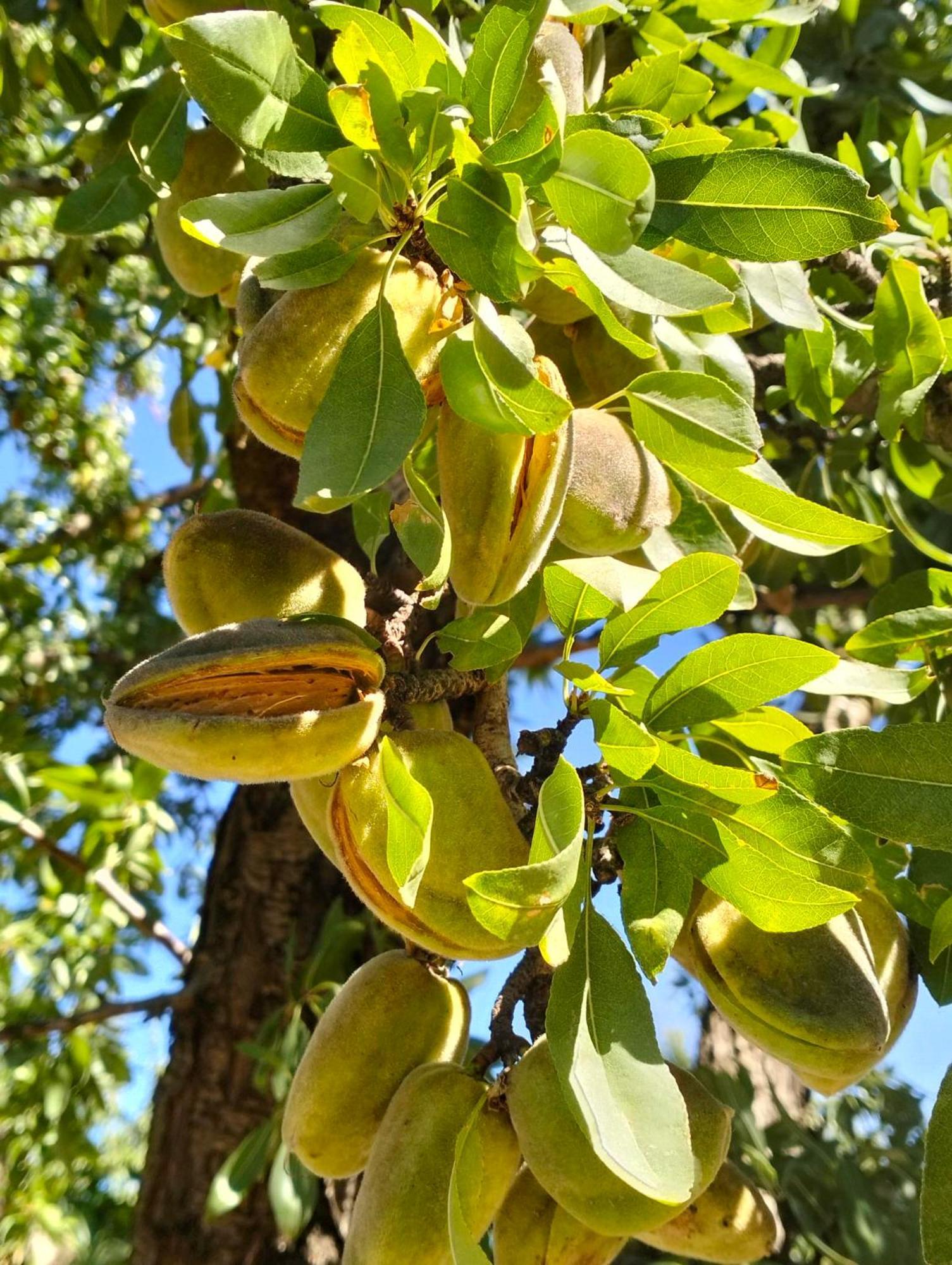 La Provence Vous Attend - 2Eme Etage Digne-les-Bains Dış mekan fotoğraf